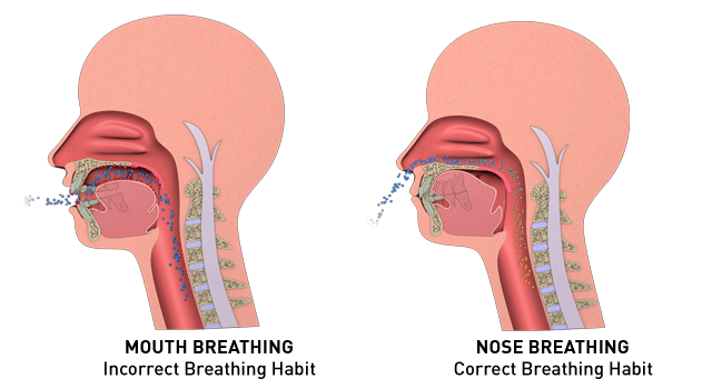 A graphic showcases the differences between mouth breathing and nasal breathing.