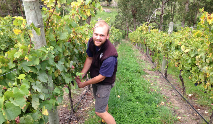 Winemaker Michael Downer in his Estate vineyard
