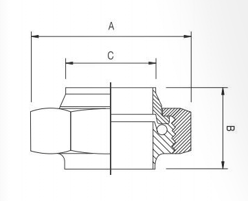 BSM Union Dimensions