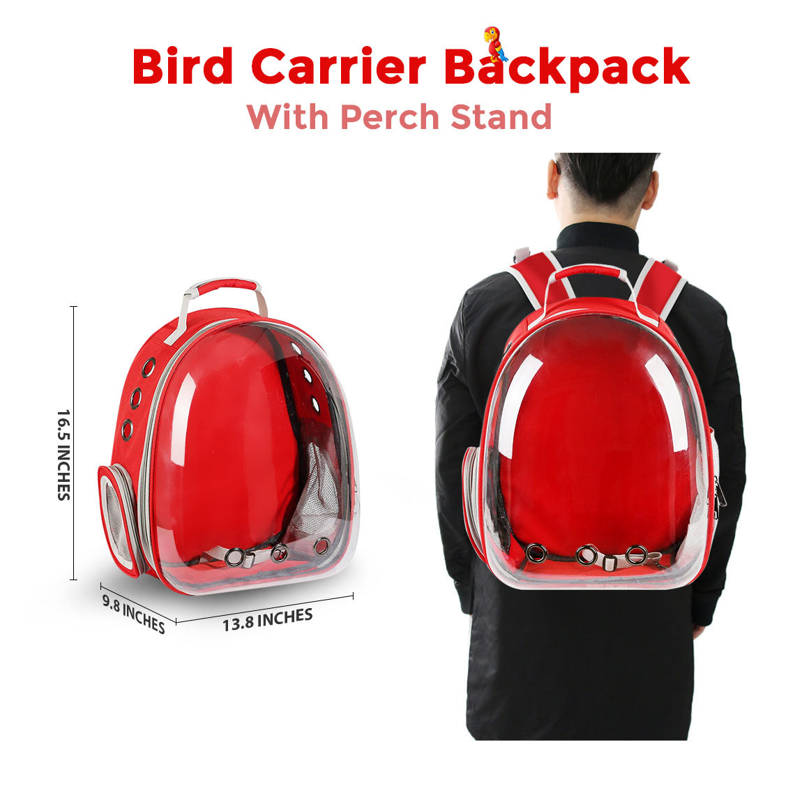 Clear Cover Parrot Bird Carrier Backpack with Stainless Steel Perch Stand & Feeder