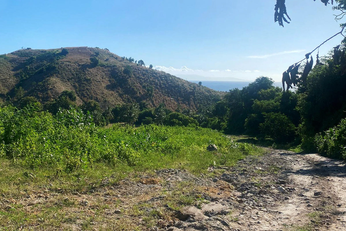 the road to desert point, lombok, indonesia