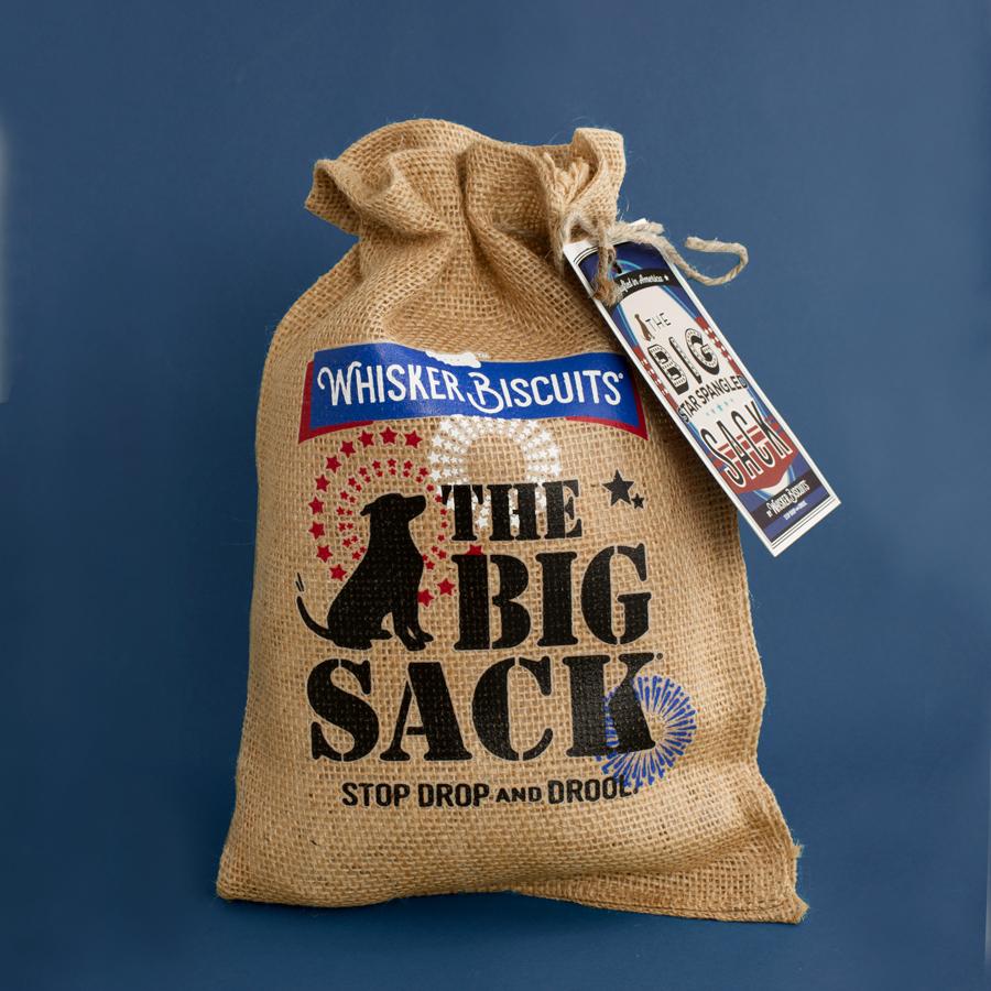 https://cdn.shopify.com/s/files/1/2574/4704/products/The-Big-Star-Spangled-Sack.jpg?v=1617819944