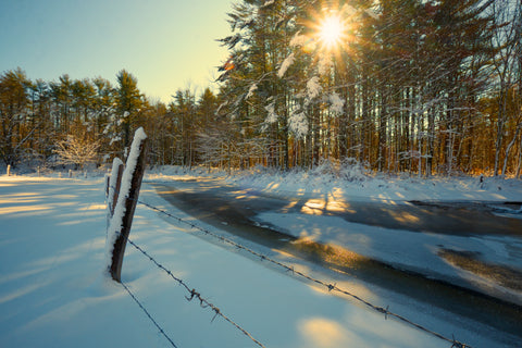 frozen brook