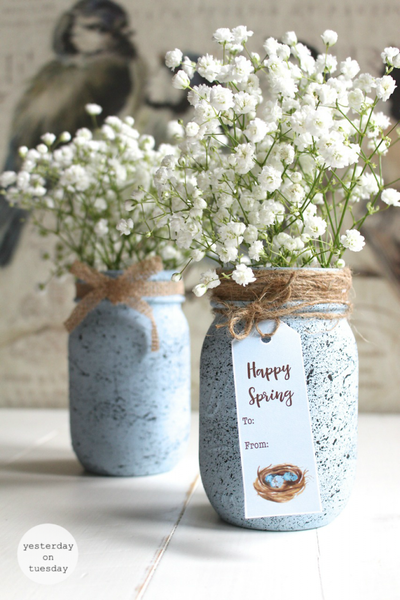 speckled robins egg mason jars