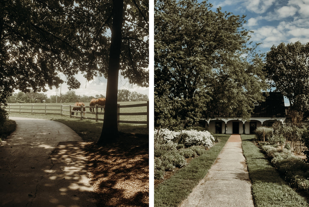 Longview Farm Park and Queeny Park in Missouri Studio Seagraves Amber Seagraves