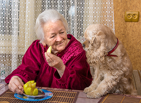 elderly lady feeding dog apple