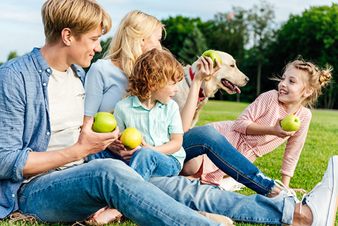 family feeding dog apples