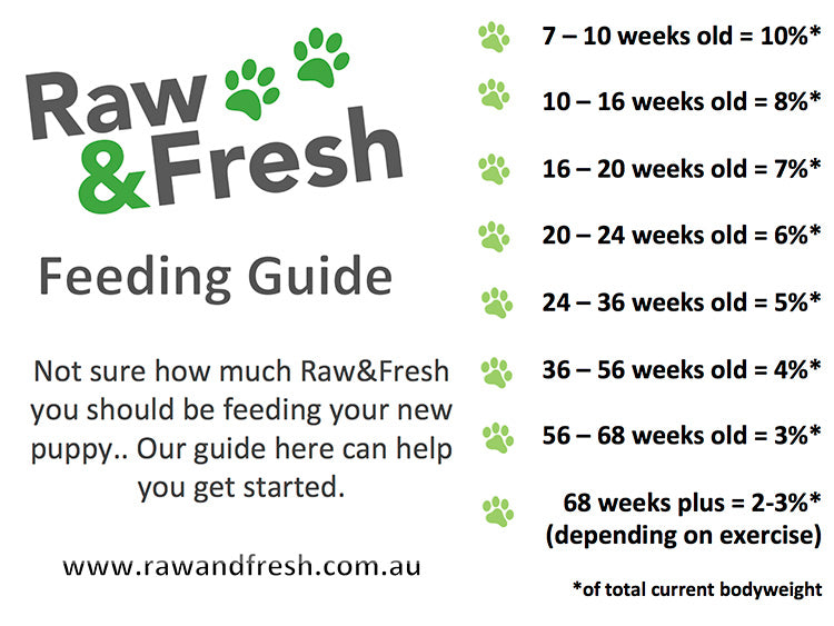 raw feeding puppy guide