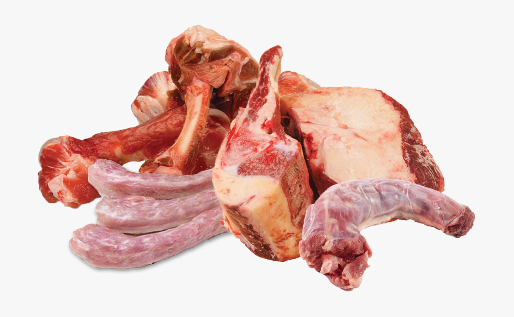 bone-content