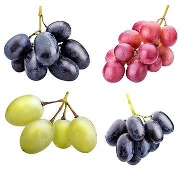 grape varieties