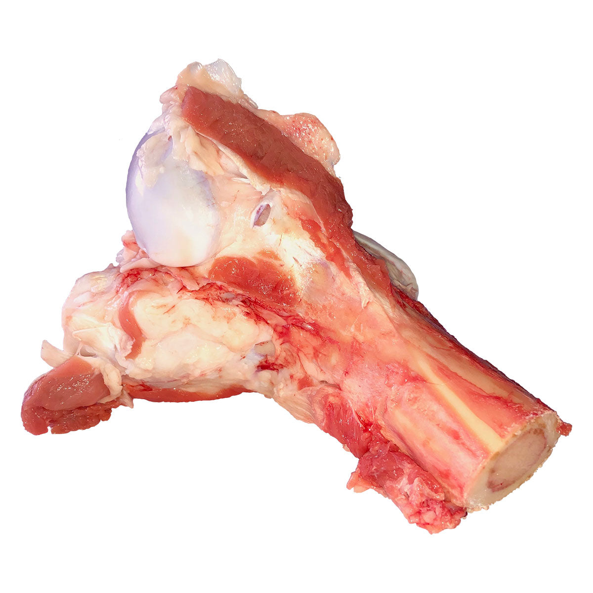 are raw marrow bones good for dogs
