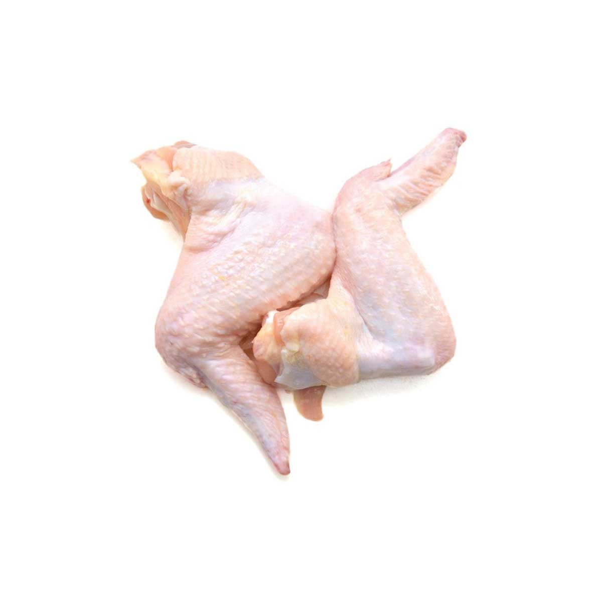 raw chicken wings for dogs