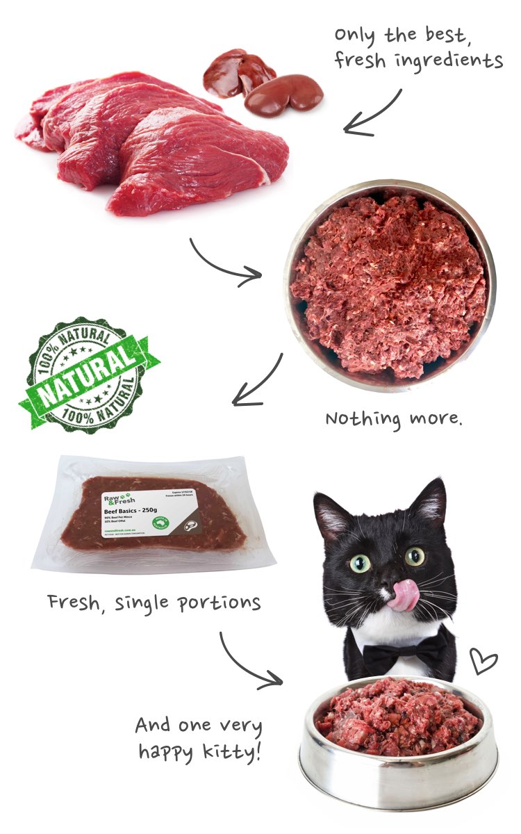 offal for cats