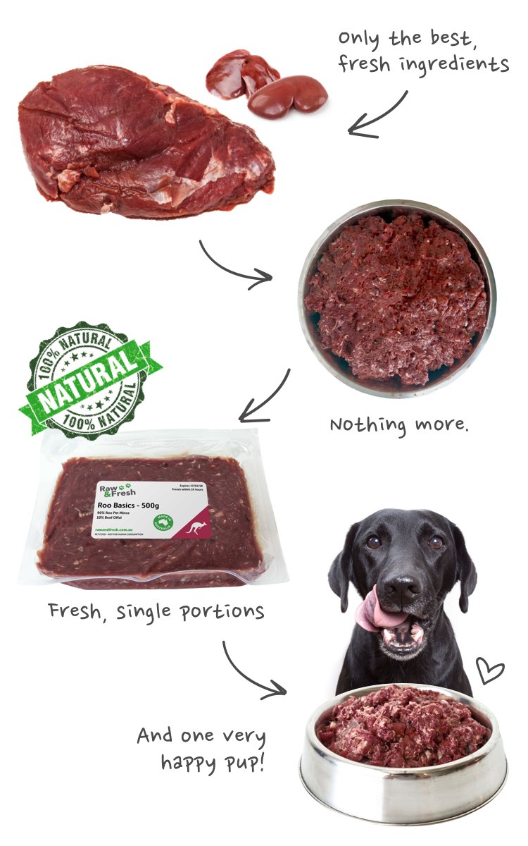 whats the best raw food for dogs