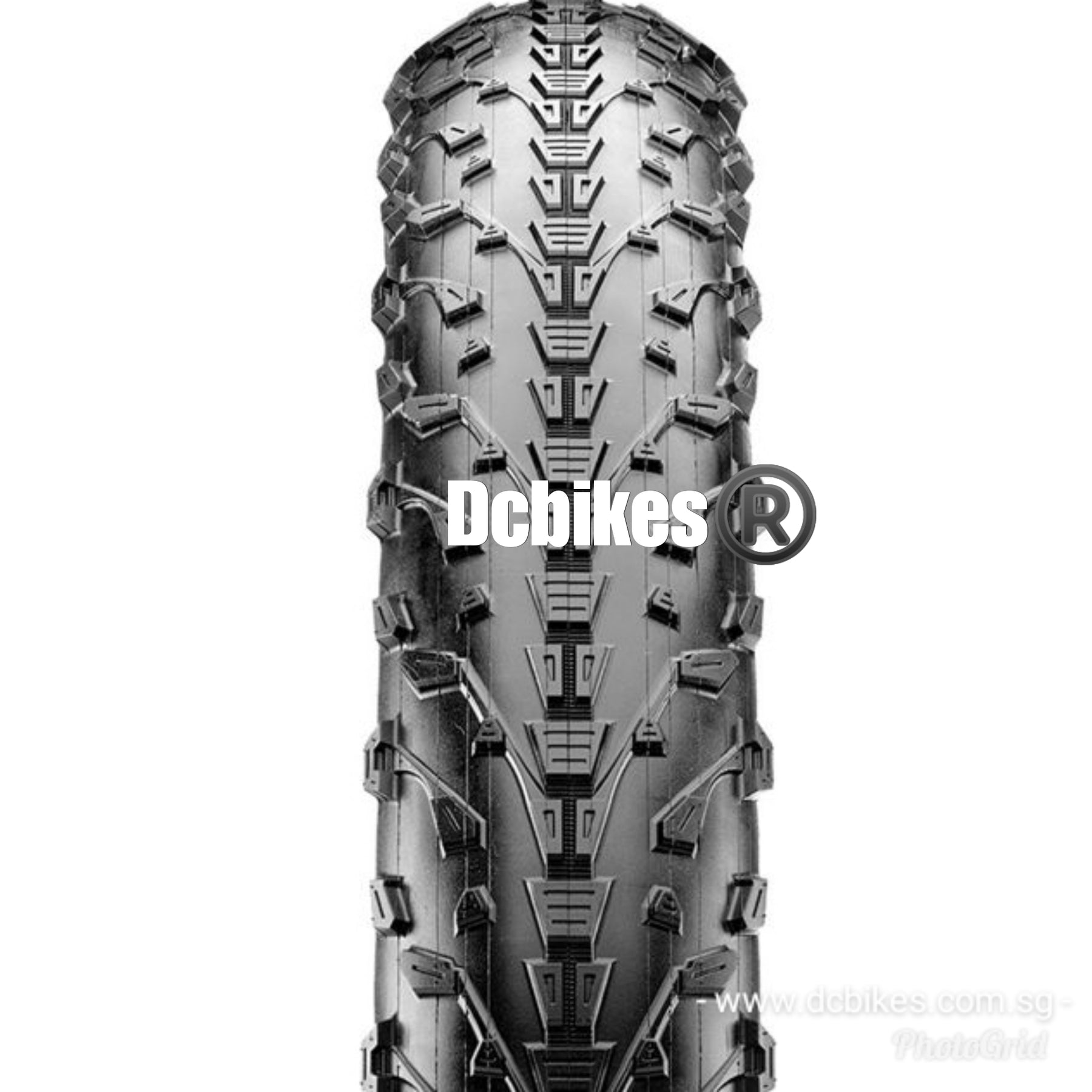 maxxis fat bike tires