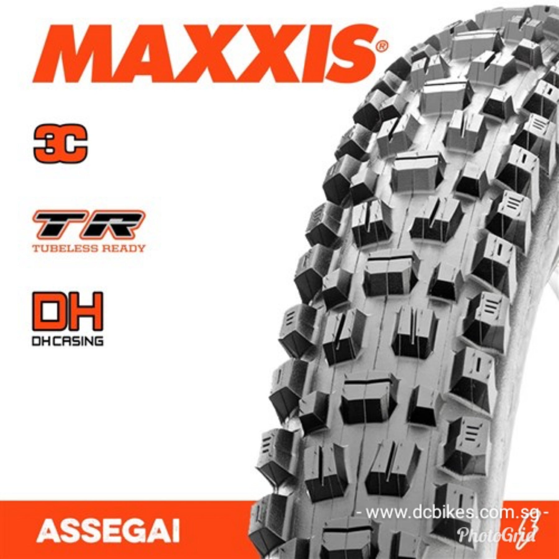 assegai 2.4