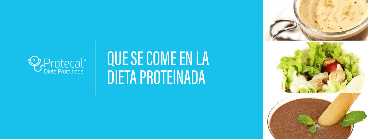 Que se come en la Dieta Proteinada – PROTECAL - DIETA PROTEINADA