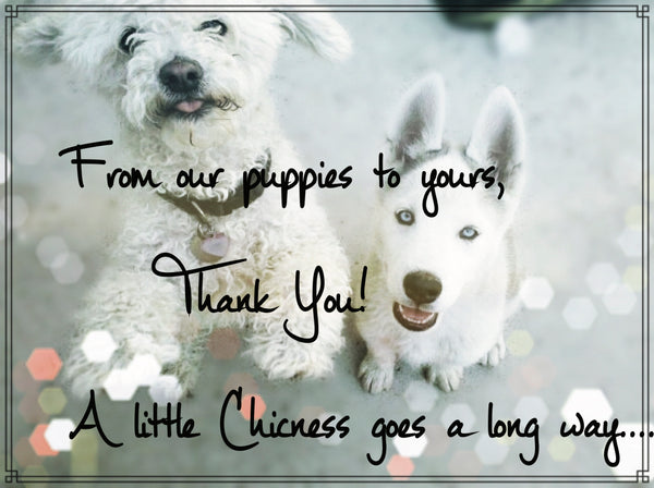 picture of dog models with message a little chicness goes a long way, thank you!