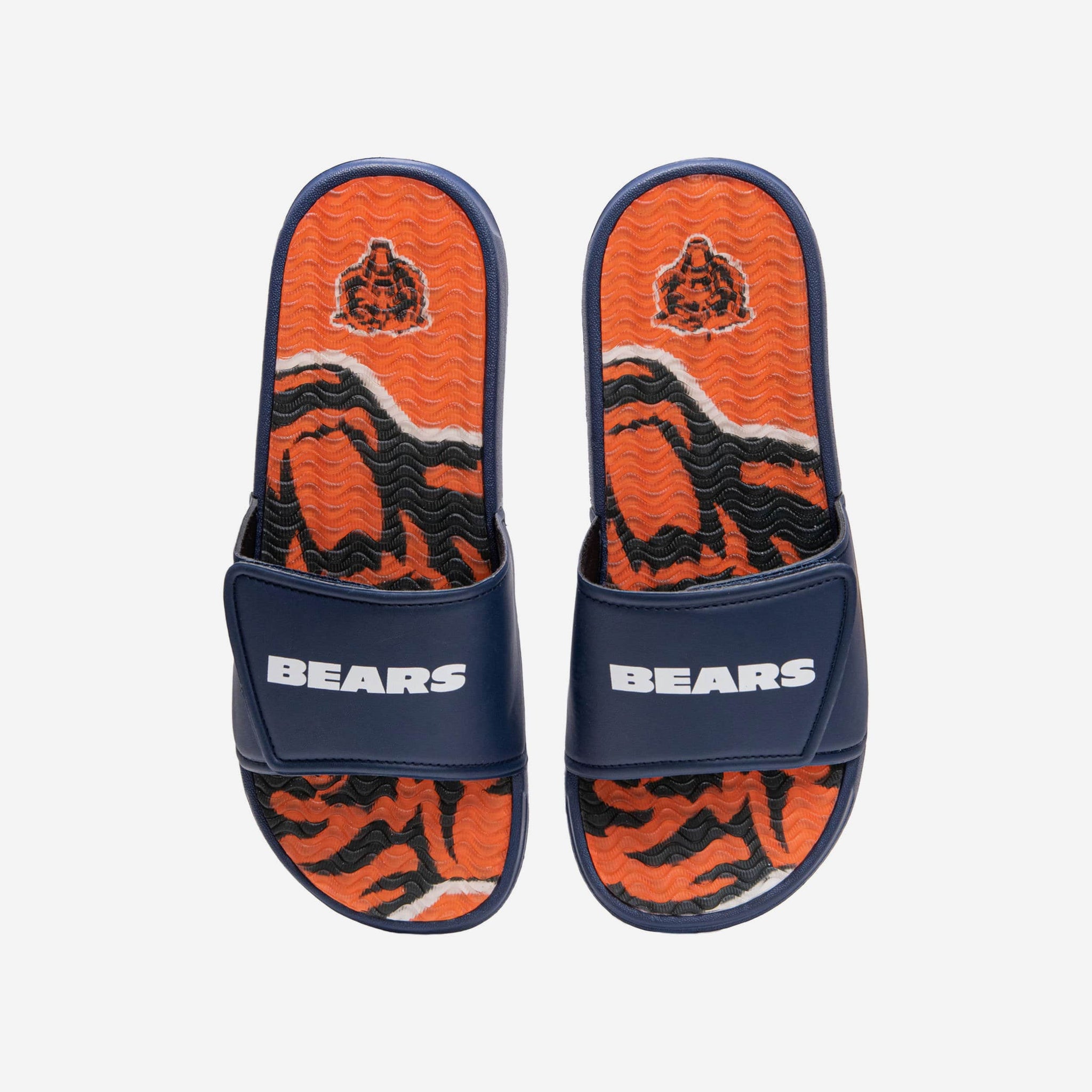 bears wordmark