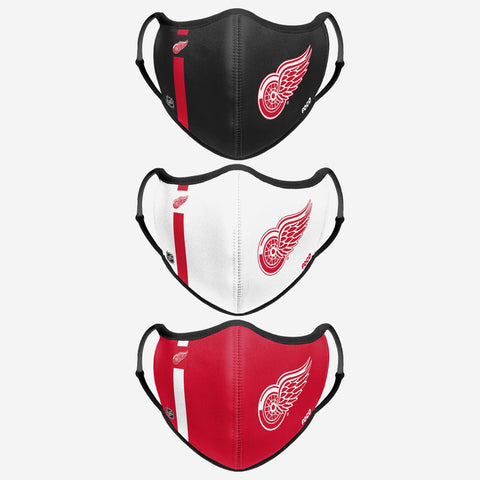 Detroit Red Wings Magnets for Sale