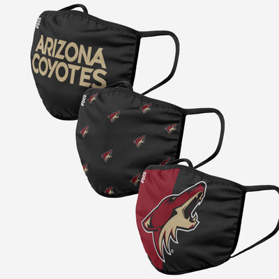 arizona coyotes store