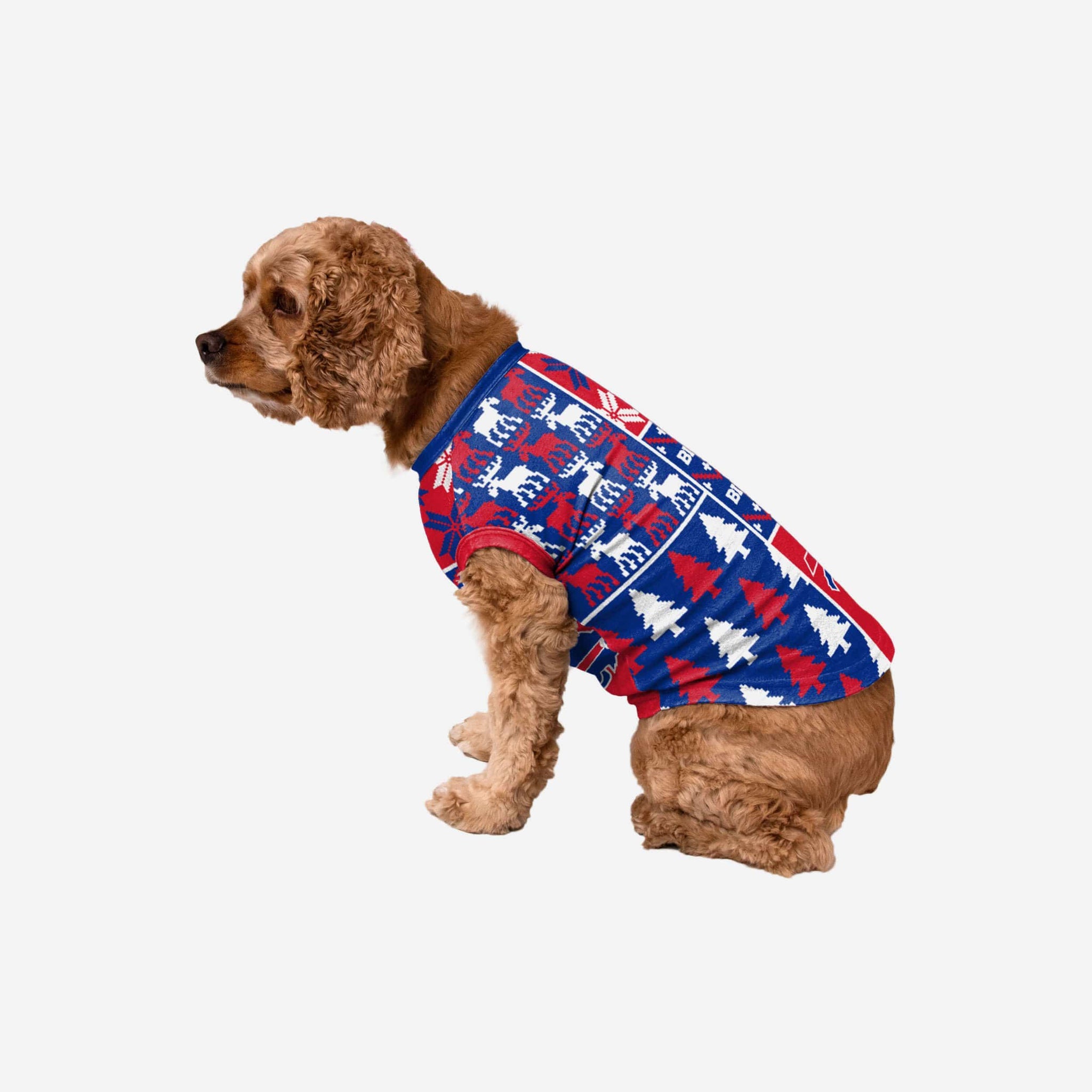 buffalo bills dog jersey