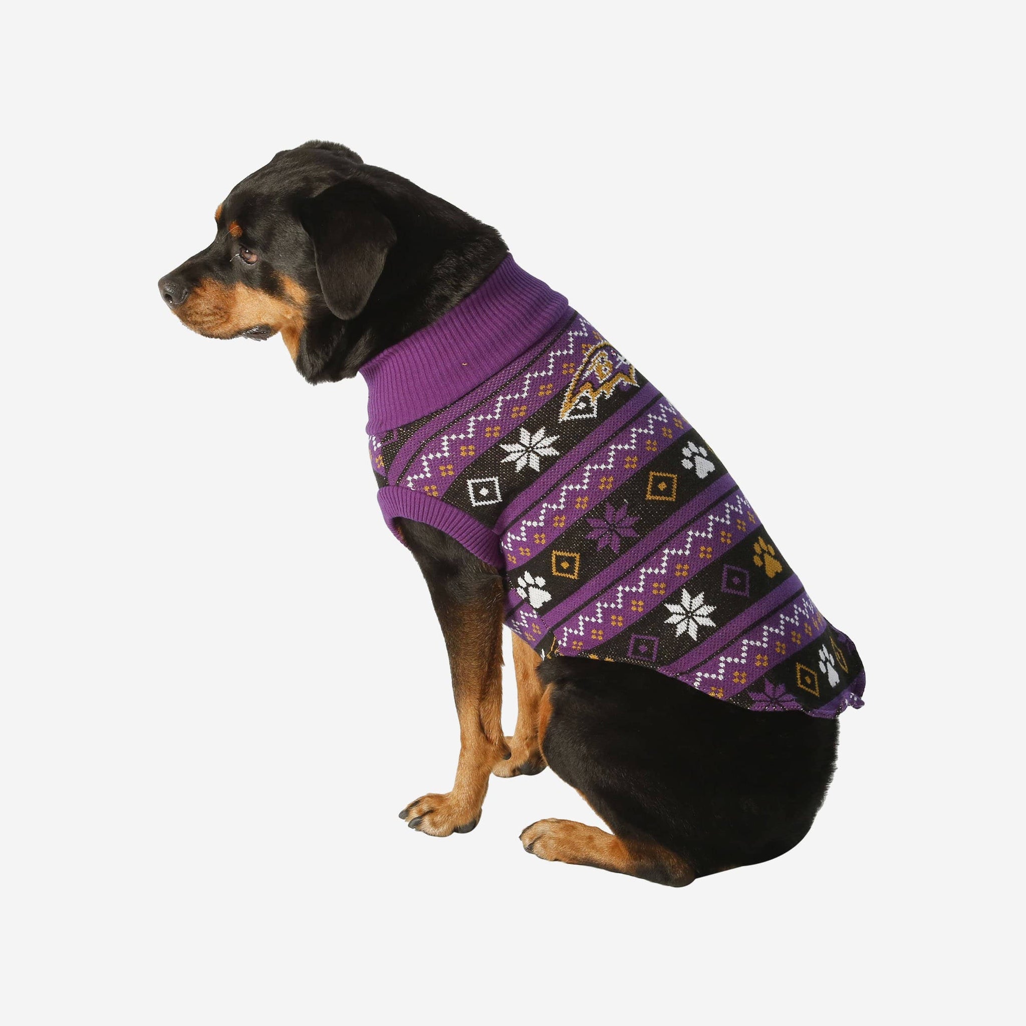 NFL Doggie Ravens Hoodie – Smyth Jewelers