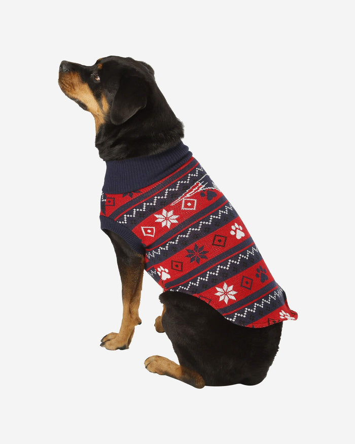 patriots dog clothes