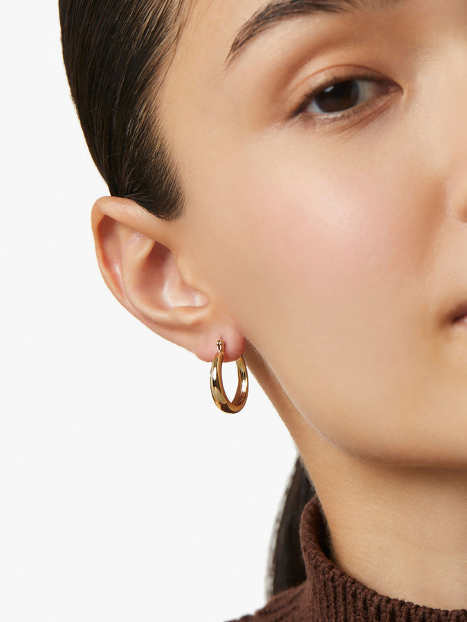 Hoop Earrings  Ana Luisa Jewelry