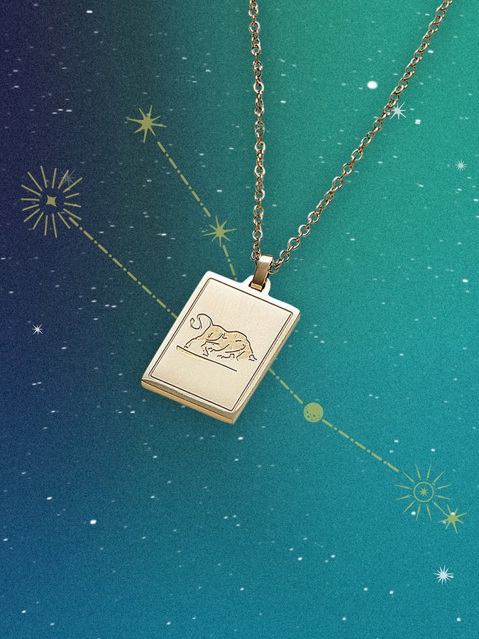 Super Zodiac Necklace