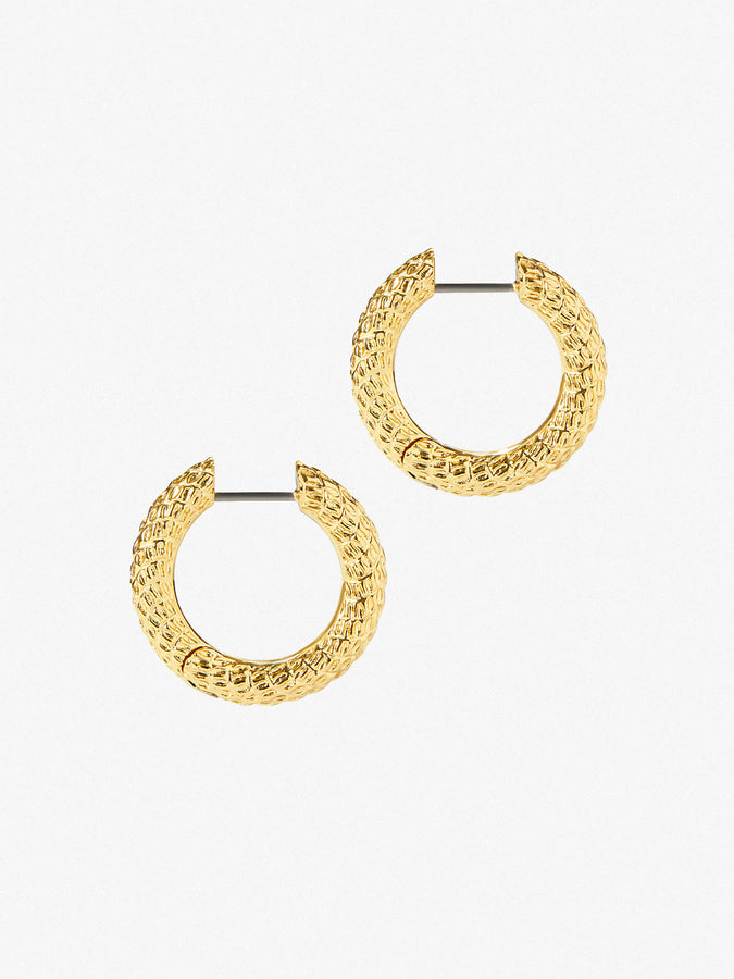 Gold Hoop Earrings - Cuidado, Ana Luisa Jewelry