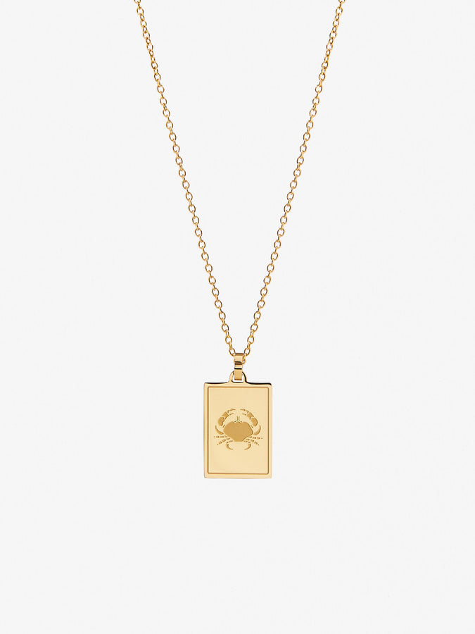 Athena Zodiac Necklace – LUXENBERRY