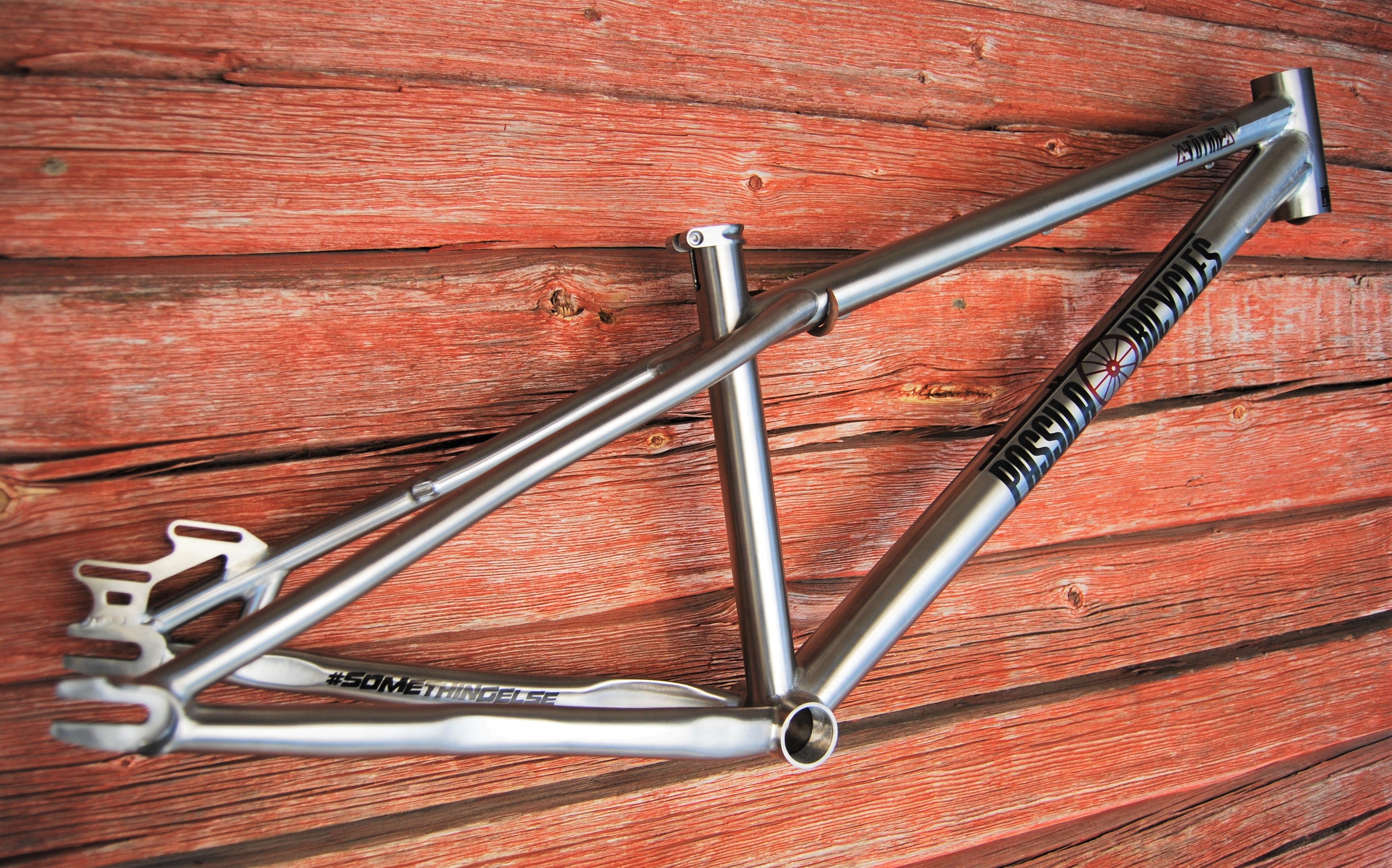 titanium dirt jumper