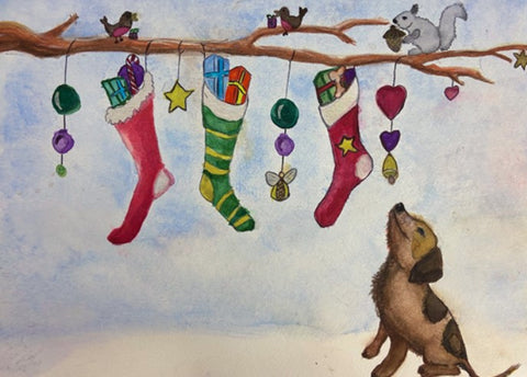 Christmas Charity Card Little Dog Looking up at stockings on a branch