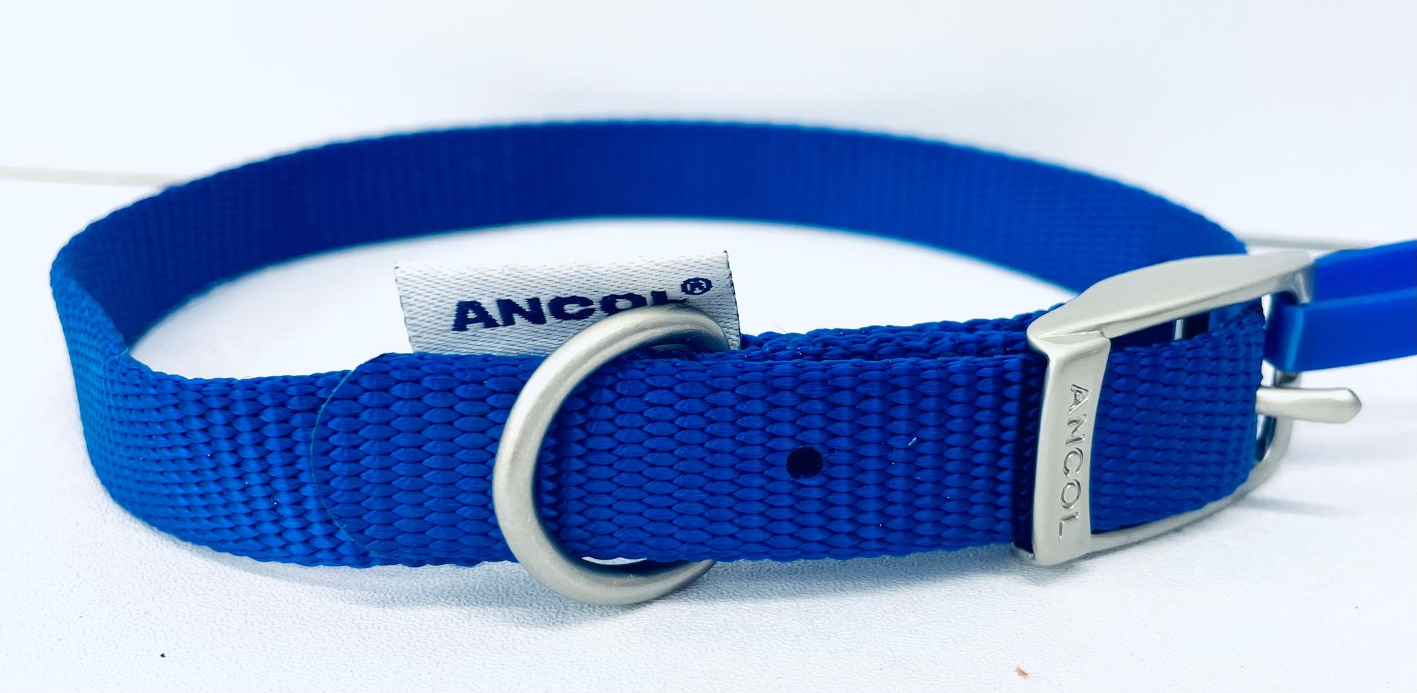 ancol blue dog collar