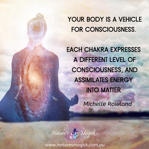 your body is a vehicle for consciousness