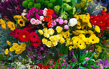 Fleuriste Montréal Marchande De Fleurs Livraison Tous