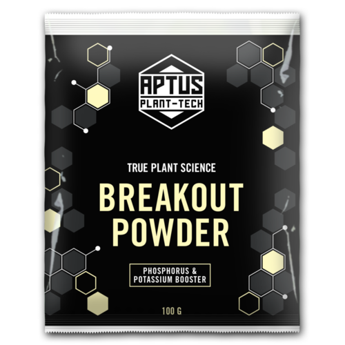 aptus breakout powder