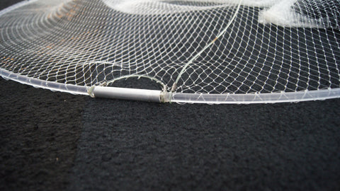 What is a BallyHop Hoop Net and How To Use It To Catch Live Bait – The  BallyHoop