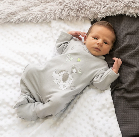 Elephant & Bird Grey Unisex Cotton Sleepsuit