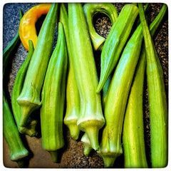 Fresh picked okra