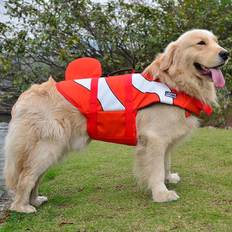 dog swimming jacket