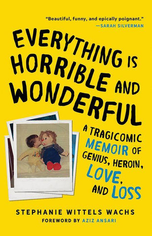 Everything Is Horrible and Wonderful by Stephanie Wittles Wachs book cover