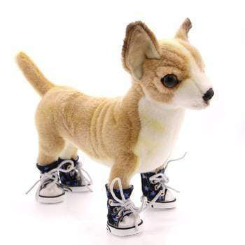 dog converse booties