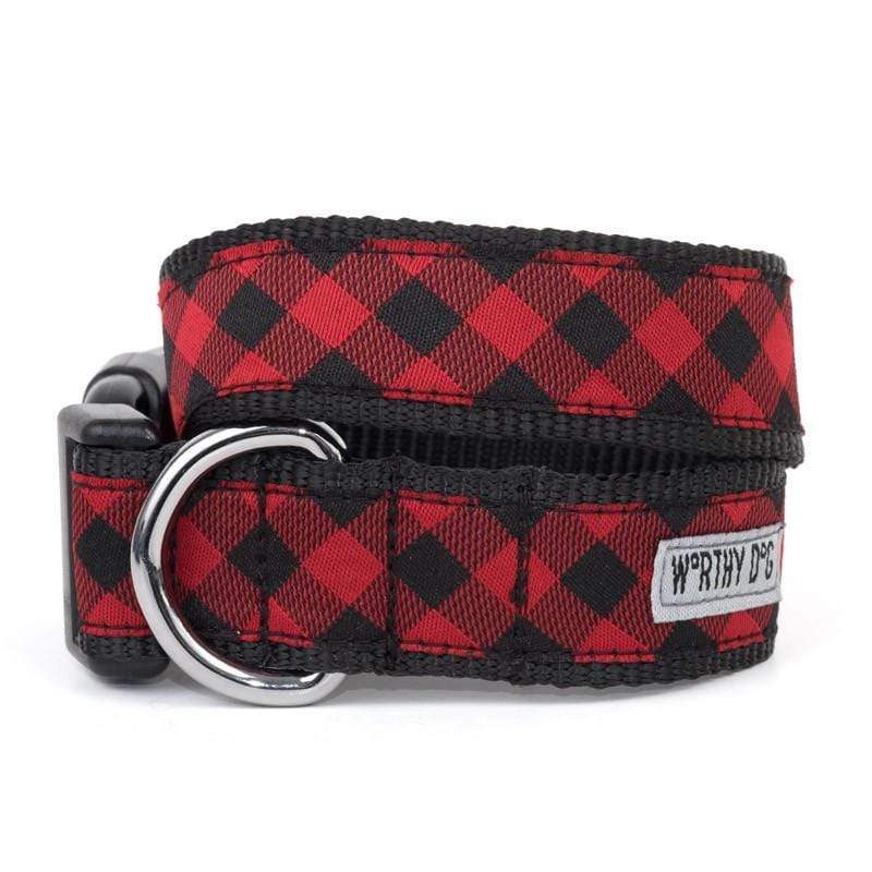 fun dog collars and leashes