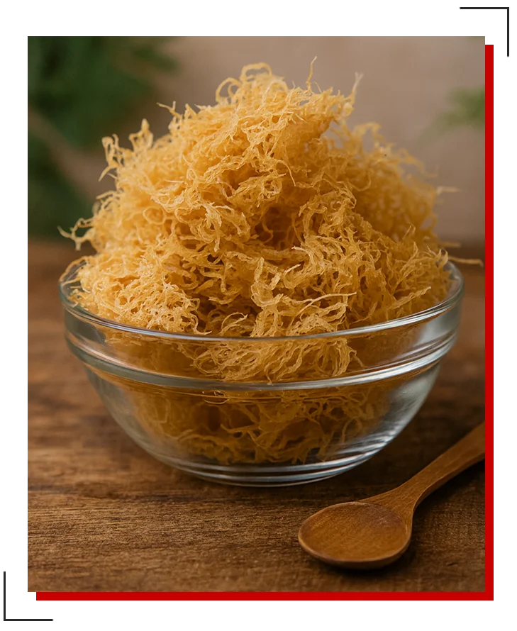 superfood sea moss