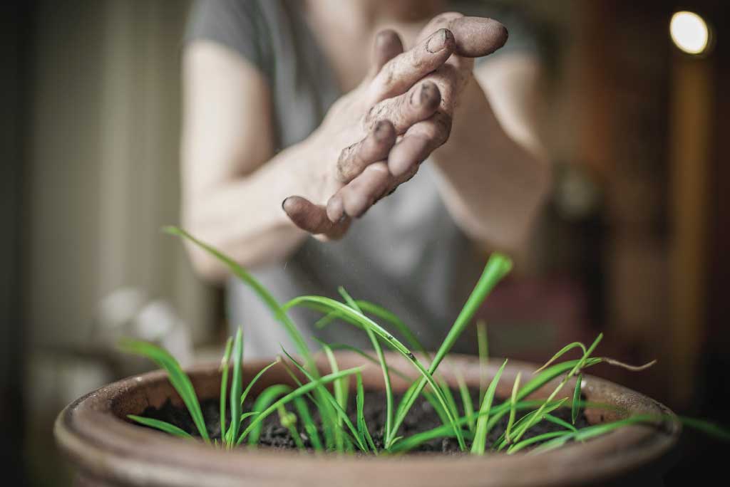 Caring-for-plants