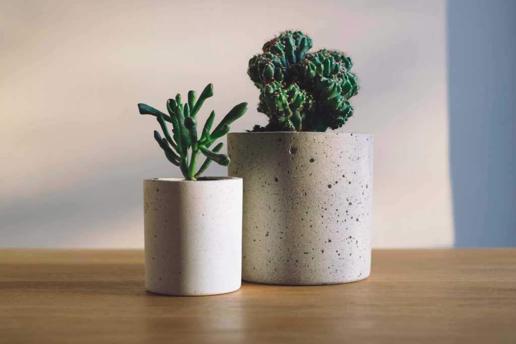 How to Pick a Planter to Make Your Plant Look Amazing