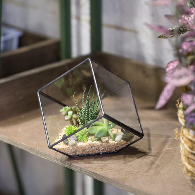 geometric terrarium for a minimalist home