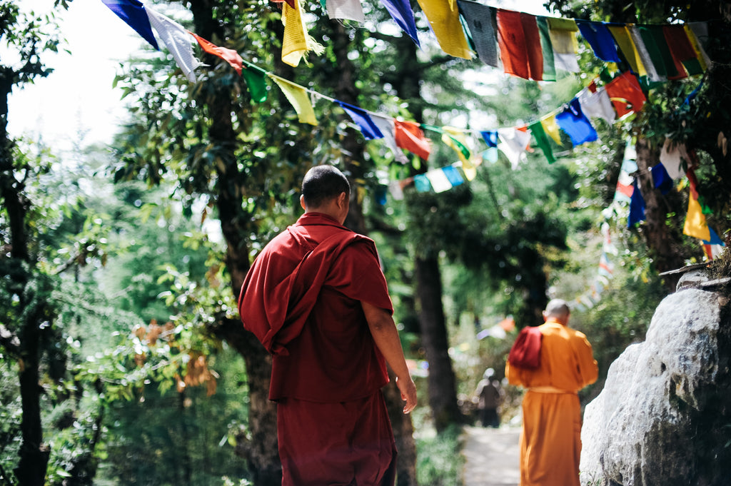 Tibetan monk in the nature